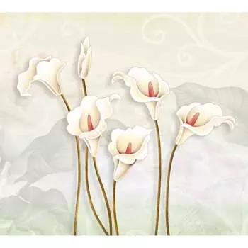 Фотообои DIVINO