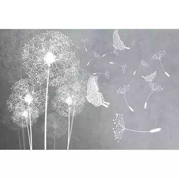 Фотообои DIVINO