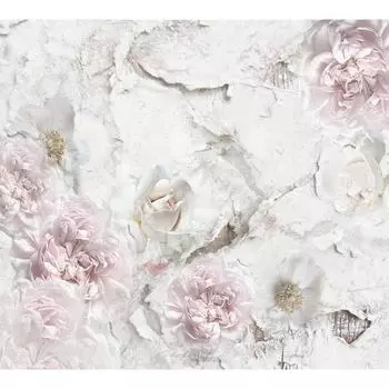 Фотообои DIVINO