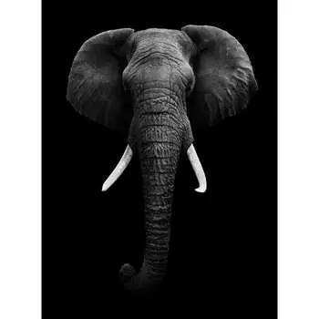 Фотообои DIVINO