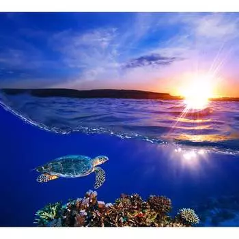 Фотообои DIVINO