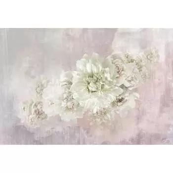 Фотообои DIVINO