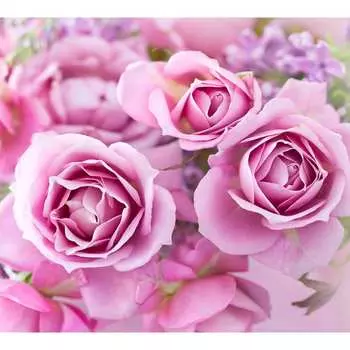 Фотообои DIVINO