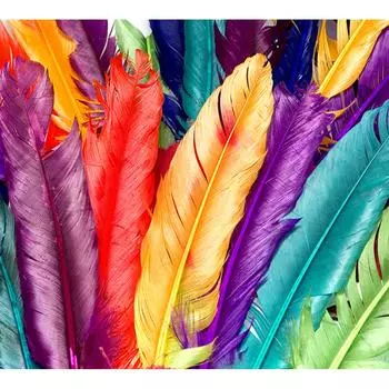 Фотообои DIVINO