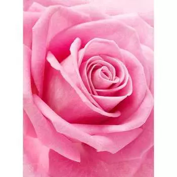 Фотообои DIVINO