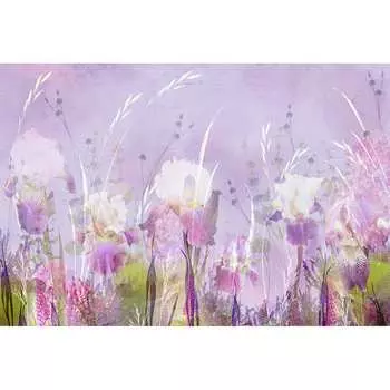 Фотообои DIVINO