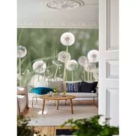 Фотообои Fotooboikin