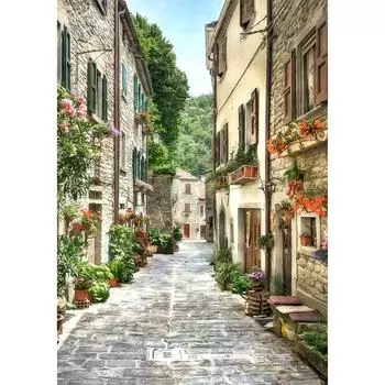 Фотообои МИР Улица старого города PrMir-13017-V2