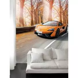 Фотообои на стену Fotooboikin