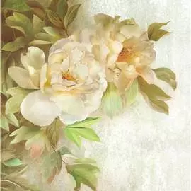 Фотообои ООО Ортограф Wild rose sepia OF_31645