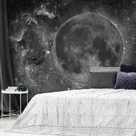 Фотообои ООО Ортограф Satellite dark OF_34200