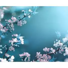 Фотообои PRIMAVERA