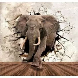 Фотообои PRIMAVERA