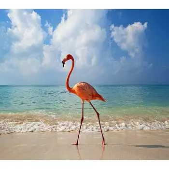 Фотообои Студия фотообоев