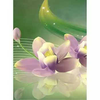 Фотообои Студия фотообоев