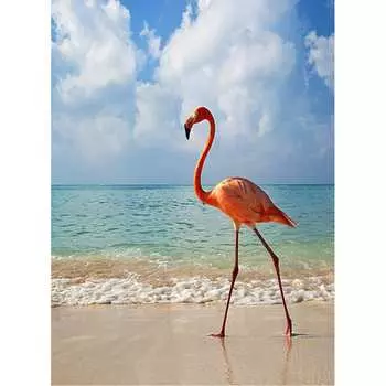 Фотообои Студия фотообоев