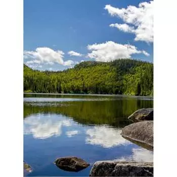 Фотообои Студия фотообоев