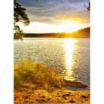 Фотообои Студия фотообоев