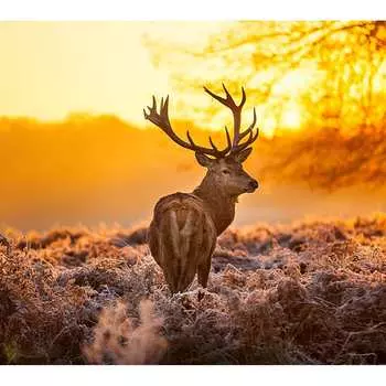 Фотообои Студия фотообоев