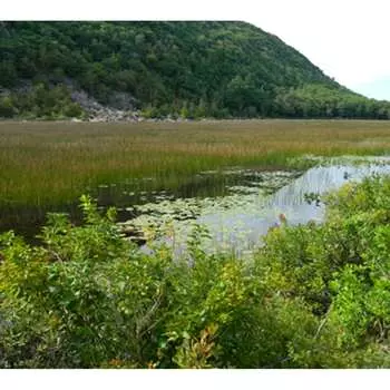 Фотообои Студия фотообоев