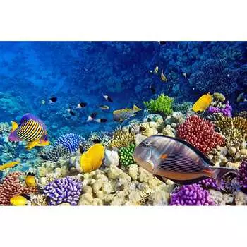 Фотообои Студия фотообоев