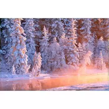 Фотообои Студия фотообоев