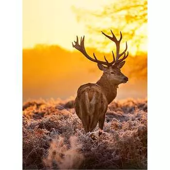 Фотообои Студия фотообоев