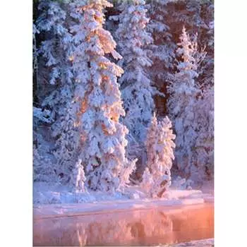 Фотообои Студия фотообоев