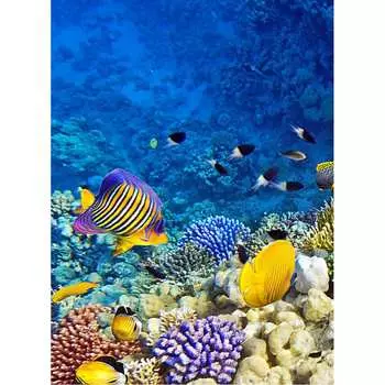 Фотообои Студия фотообоев