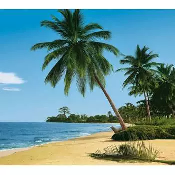 Фотообои Студия фотообоев