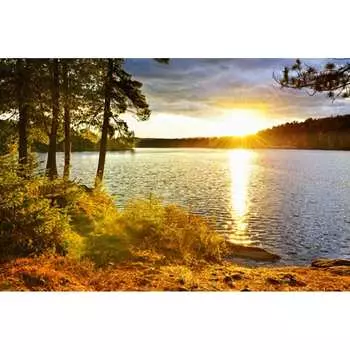 Фотообои Студия фотообоев