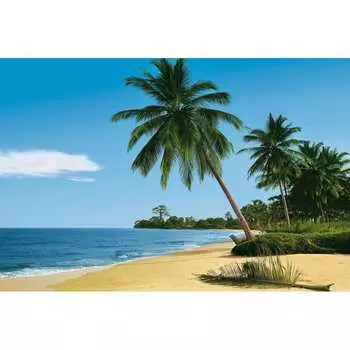 Фотообои Студия фотообоев