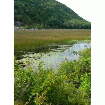 Фотообои Студия фотообоев