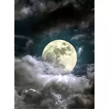 Фотообои Студия фотообоев