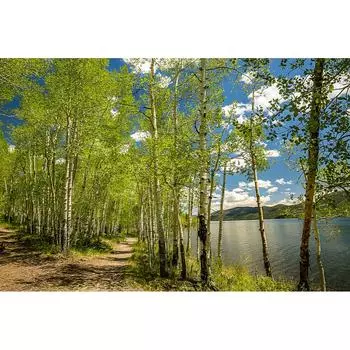 Фотообои Студия фотообоев