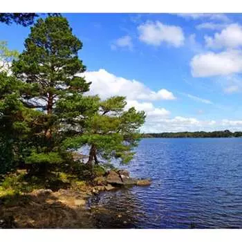 Фотообои Студия фотообоев