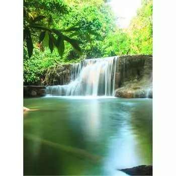 Фотообои Студия фотообоев