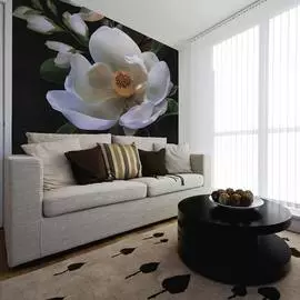 Фреска ООО Ортограф