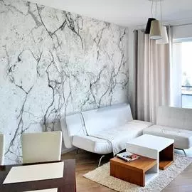 Фреска ООО Ортограф Чистый мрамор FX_34620