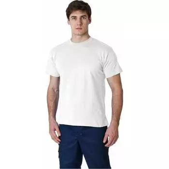 Футболка Факел