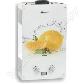Газовый проточный водонагреватель WERTRUS 10EG LEMON