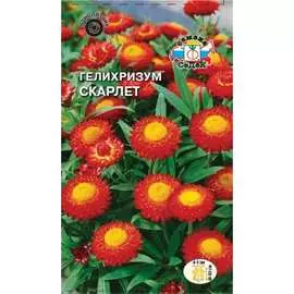 Гелихризум семена СеДек