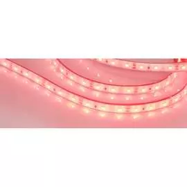 Герметичная светодиодная лента Arlight RTW-PFS-A60-11mm 12V Red 036055