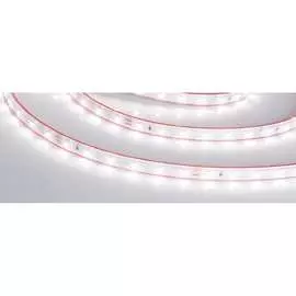 Герметичная светодиодная лента Arlight RTW-PS-A60-10mm 24V Day4000 024564(2)