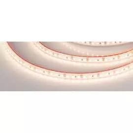 Герметичная светодиодная лента Arlight RTW-PS-A120-10mm 12V Day4000 9.6 Вт/м 022319(2)