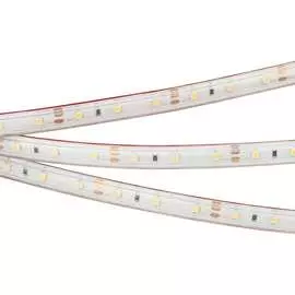 Герметичная светодиодная лента Arlight RTW-PS-A60-10mm 12V Day4000 0211002