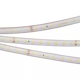 Герметичная светодиодная лента Arlight RTW-PS-A80-10mm 24V Day5000 024529(2)