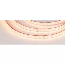 Герметичная светодиодная лента Arlight RTW-PS-A80-10mm 24V Warm3000 6 Вт/м 024531(2)