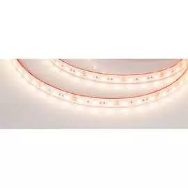 Герметичная светодиодная лента Arlight RTW-PS-B60-12mm 12V Warm3000 14.4 Вт/м 022325(2)