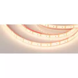 Герметичная светодиодная лента Arlight RTW-PS-A120-10mm 12V Warm2700 9.6 Вт/м 028547(2)